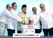 ESDM Luncurkan Mandatori B50, Tegaskan Kesiapan Perkuat Kedaulatan Energi Nasional