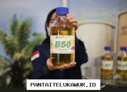 Harga BBM Biodiesel B50 Resmi Terbaru dan Penjelasan Lengkapnya