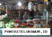 Harga Cabai di Pasar Makassar Anjlok Jadi Rp18 Ribu per Kilogram