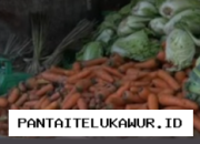 Harga Wortel di Makassar Naik Signifikan Akibat Musim Kemarau yang Berkepanjangan