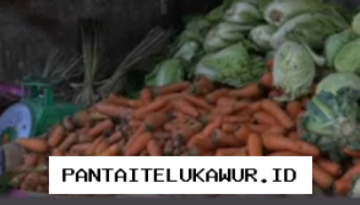 Harga Wortel di Makassar Naik Signifikan Akibat Musim Kemarau yang Berkepanjangan