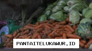 Harga Wortel di Makassar Naik Signifikan Akibat Musim Kemarau yang Berkepanjangan
