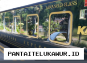 KAI Resmikan Kereta Api Mewah The Nusantara Explorer, Jalur Wisata Jarak Jauh Siap Beroperasi