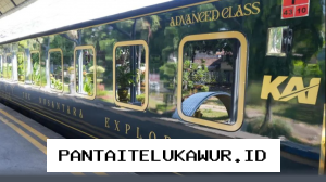 KAI Resmikan Kereta Api Mewah The Nusantara Explorer, Jalur Wisata Jarak Jauh Siap Beroperasi