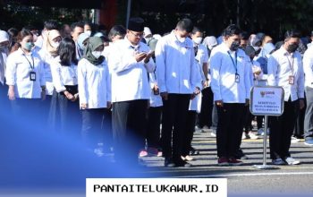 Kementerian PANRB Resmi Buka Pendaftaran Magang Tahun 2026, Berikut Formasi dan Tata Cara Pendaftaran yang Perlu Diketahui