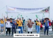 Linknet Kuatkan Ekosistem Pesisir Serang Melalui Penanaman Lebih dari 5.000 Bibit Mangrove