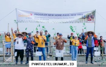 Linknet Kuatkan Ekosistem Pesisir Serang Melalui Penanaman Lebih dari 5.000 Bibit Mangrove