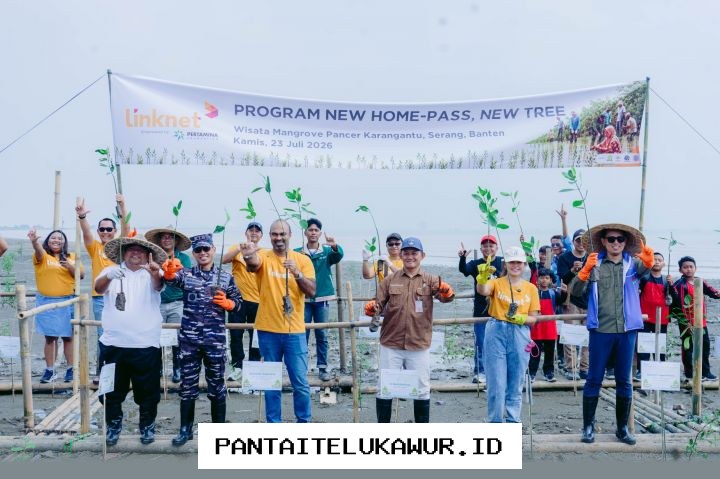 Linknet Kuatkan Ekosistem Pesisir Serang Melalui Penanaman Lebih dari 5.000 Bibit Mangrove