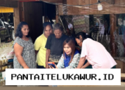 Mantri BRI Bawa Akses Perbankan ke Daerah Terpencil Toraja Utara dengan Semangat Pengabdian yang Tinggi