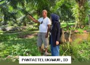 Mantri BRI Hadir di Wilayah Terpencil, Dorong Pengembangan Ekonomi Masyarakat Desa