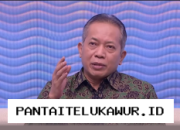 Menteri Koperasi Dorong 40 Ribu Desa Mandiri Ekonomi Berjalan Optimal 2026