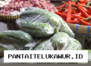 Pantauan Terkini Harga Sembako di Semarang Catat Lonjakan Harga Timun Hingga Dua Kali Lipat
