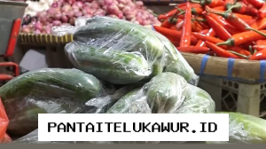 Pantauan Terkini Harga Sembako di Semarang Catat Lonjakan Harga Timun Hingga Dua Kali Lipat