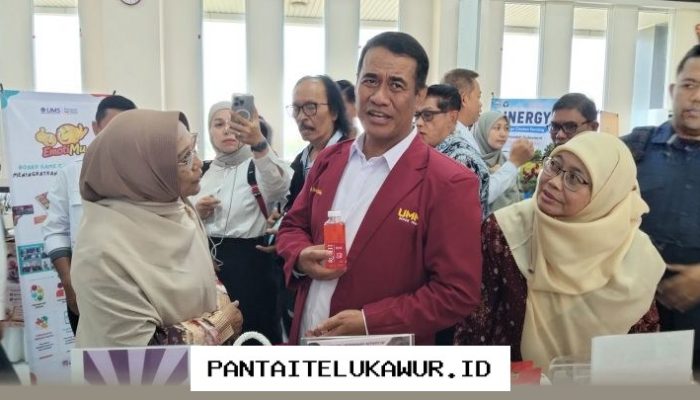 Pemerintah Dorong Pengembangan UMKM Menuju Ekonomi Berkelanjutan