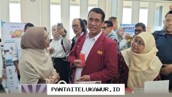 Pemerintah Dorong Pengembangan UMKM Menuju Ekonomi Berkelanjutan