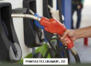 Pertamina Resmi Pangkas Harga Jual Pertamax Turbo dan Solar Nonsubsidi Per 1 Juli 2024 Mendatang