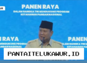 Prabowo Hadiri Panen Raya Serentak di Malang, Aktivitas Ini Dilakukan di 43 Lokasi Berbeda di Seluruh Indonesia