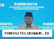 Prabowo Umumkan Swasembada Pangan Telah Terwujud, Fokus Bergeser ke Sektor Energi Nasional
