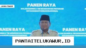Prabowo Umumkan Swasembada Pangan Telah Terwujud, Fokus Bergeser ke Sektor Energi Nasional