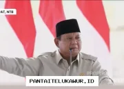 Prabowo Ungkap Rencana Pelepasan Saham Pindad, PT PAL, dan PTDI kepada Investor Asing Hampir Terwujud