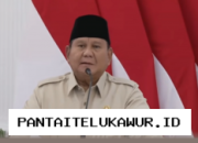 Presiden Prabowo Soroti Kemampuan Bahasa Indonesia CEO Inpex Corporation