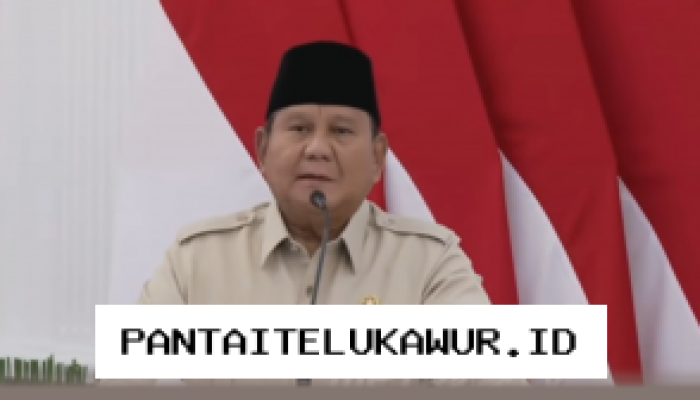 Presiden Prabowo Soroti Kemampuan Bahasa Indonesia CEO Inpex Corporation