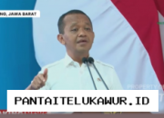 Program B50 Diprediksi Mampu Tekan Pengeluaran Devisa hingga Rp170 Triliun Menurut Bahlil