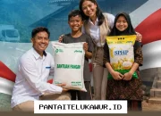 Bansos Beras 30 Kilogram Sudah Bisa Diambil, Simak Persyaratan dan Tata Cara Pengambilannya Secara Resmi