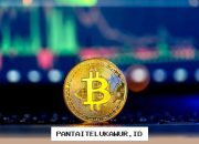 Bitcoin Anjlok ke Level USD63 Ribu Meski Sebelumnya Naik 7,5% pada Juli 2026