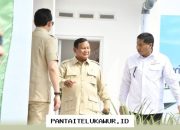 BP Tapera Luncurkan Sistem Digital Terkini, KPR Rumah Subsidi Kini Terhubung Secara Langsung dan Real Time