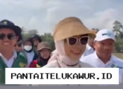 BPPSDMP Kementan Dorong Gerakan Tanam Serentak di 25 Kabupaten Sultra untuk Antisipasi Dampak El Nino