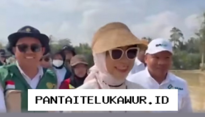 BPPSDMP Kementan Dorong Gerakan Tanam Serentak di 25 Kabupaten Sultra untuk Antisipasi Dampak El Nino
