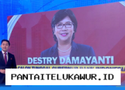Destry Damayanti Terpilih Jadi Calon Tunggal Gubernur BI, Investor Asing Respons Positif