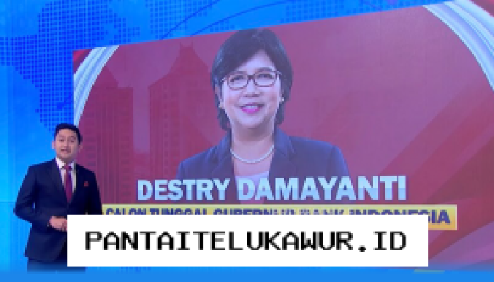 Destry Damayanti Terpilih Jadi Calon Tunggal Gubernur BI, Investor Asing Respons Positif