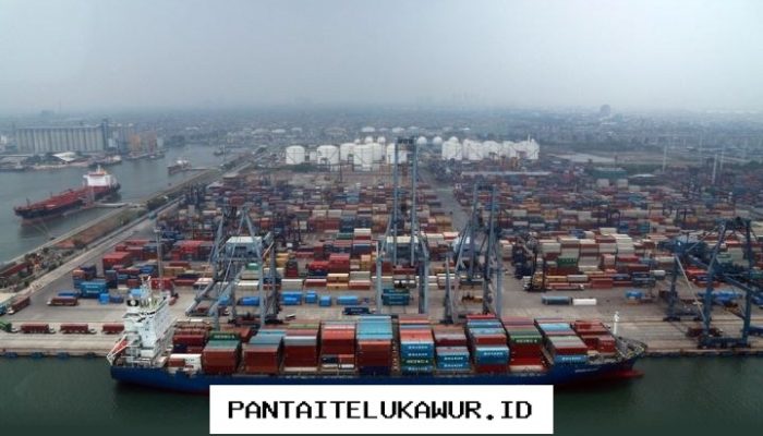 Kadin Dorong Peningkatan Ekspor Komoditas Pertanian serta Produk UMKM Indonesia ke Pasar Jepang