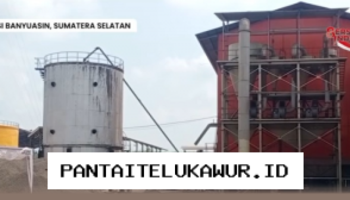 Koperasi Musi Banyuasin Tancapkan Investasi Baru Bangun Pabrik Kelapa Sawit dengan Kapasitas Produksi 45 Ton Per Hari