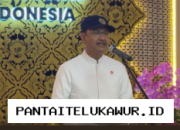 Lebih dari 1,4 Juta Penerima Bansos Dihentikan karena Terindikasi Judol