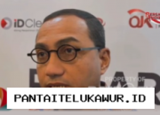 OJK Optimis Perbaikan Pasar Modal Terus Menarik Minat Investor Baru