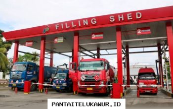 Pertamina Patra Niaga Dorong Pemulihan Distribusi BBM serta LPG di Wilayah Flores