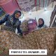 Potensi UMKM Lokal untuk Mengembangkan Pasar yang Lebih Luas dan Berkelanjutan