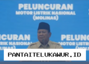 Prabowo Apresiasi Sinergi Swasta BUMN dan Akademisi untuk Wujudkan Proyek Strategis Molinas di Indonesia