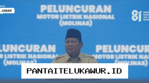 Prabowo Apresiasi Sinergi Swasta BUMN dan Akademisi untuk Wujudkan Proyek Strategis Molinas di Indonesia