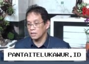 Purbaya Tegaskan Utang KCIC Diproses Kemenkeu Tanpa Membebani Anggaran Negara
