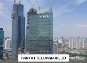 Robert Budi Hartono Terpilih Sebagai Pengendali Baru Bank BCA, Simak Penyebabnya!