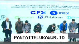 Startup Digital Syariah Kolaborasi dengan Bursa CFX untuk Kembangkan Ekosistem Pengelolaan Aset