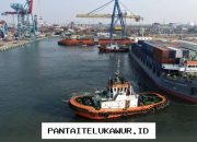 Terminal 2 Petikemas Tanjung Priok Diresmikan, Tingkatkan Efisiensi Operasional Pelabuhan