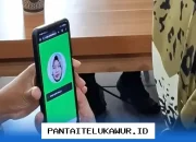 Tiga Provinsi dengan Alokasi Terbesar Penerima Bansos PKH dan BPNT Tahap 3 Cek Wilayahmu Sekarang Juga