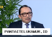 Wamenkeu Ungkap Data Ekonomi Terkini Indonesia dalam Rilis Eksklusif